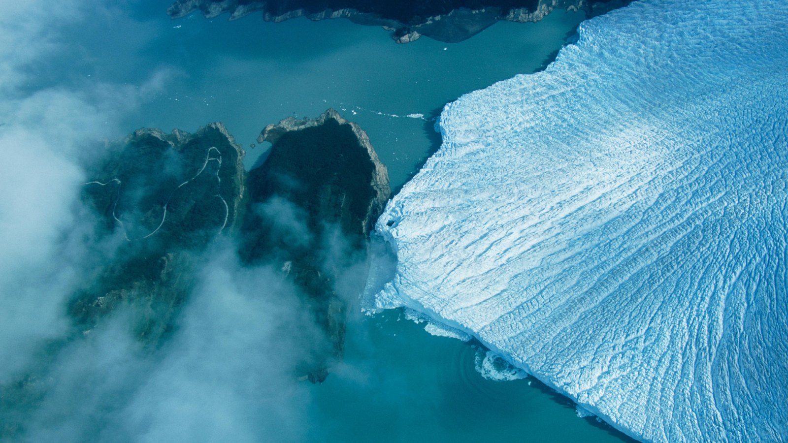 Festival Cultural Guadalajara 2026